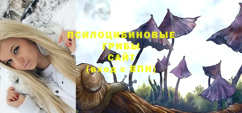 наркота  OMG ССЫЛКА  Галлюциногенные грибы Magic Shrooms  Дмитриев 